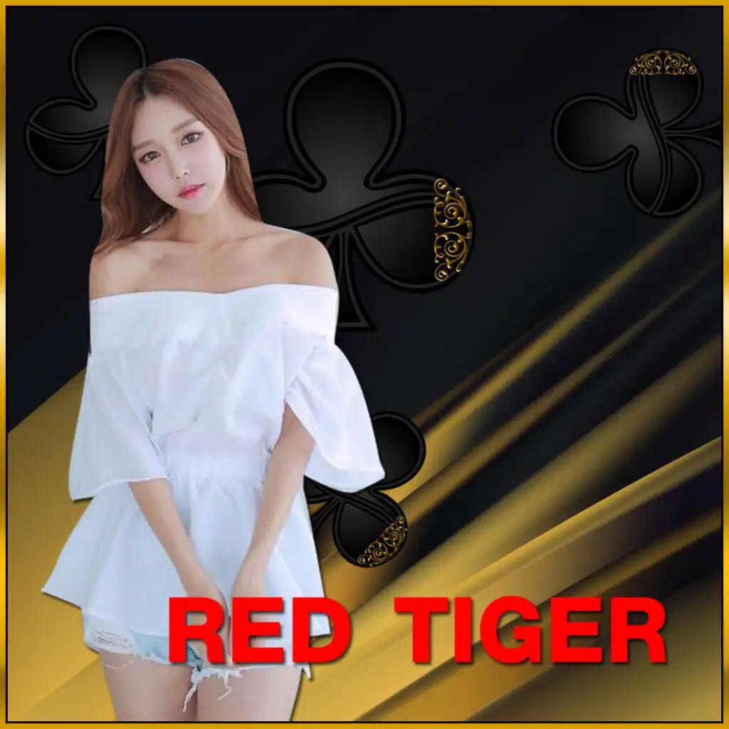 ผลบอลต่างประเทศ เช็คผลแม่นยำ ผ่านเว็บอันดับหนึ่งของไทย