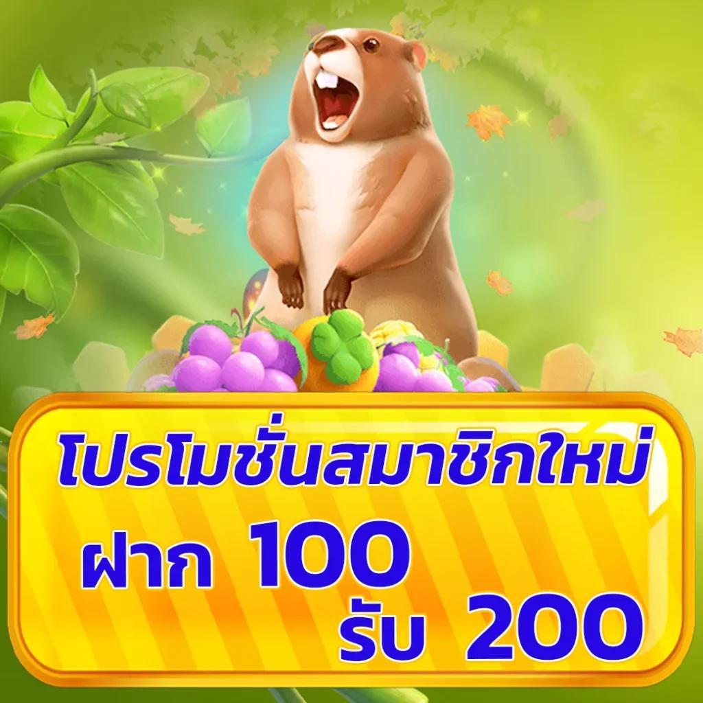 เว็บตรงไม่ผ่านเอเย่นต์ มาตรฐานสูงสุดในไทย 2024